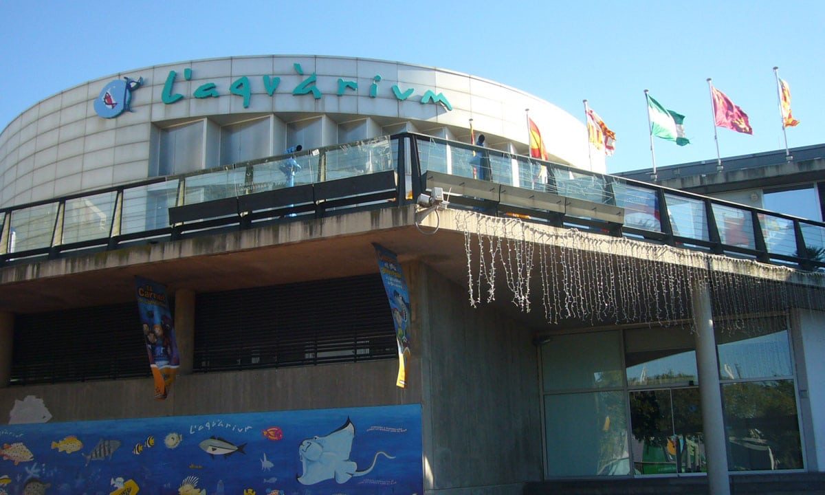 aquarium